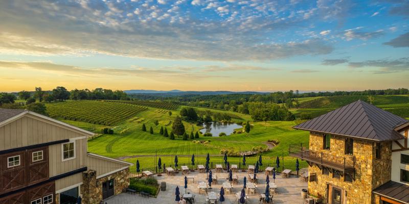 Aerial view of the winery