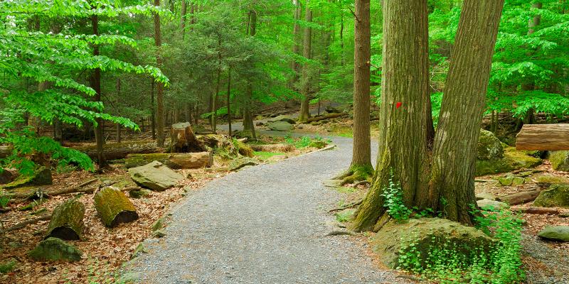 Catoctin Mountain Park in Maryland