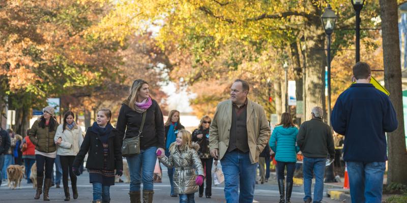 Waterfowl Festival, Easton, MD