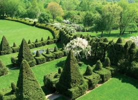 Aerial view of the topiary gardens