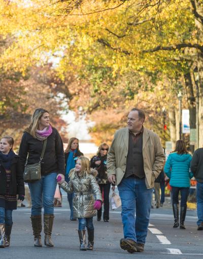 Waterfowl Festival, Easton, MD